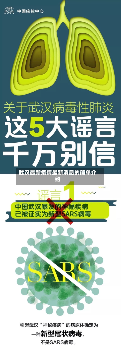 武汉最新疫情最新消息的简单介绍