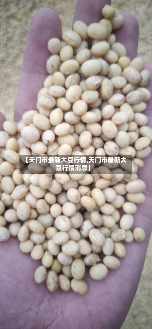 【天门市最新大豆行情,天门市最新大豆行情消息】