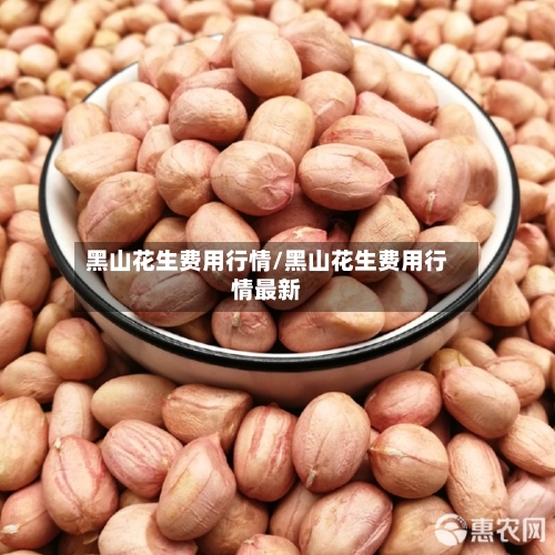 黑山花生费用行情/黑山花生费用行情最新