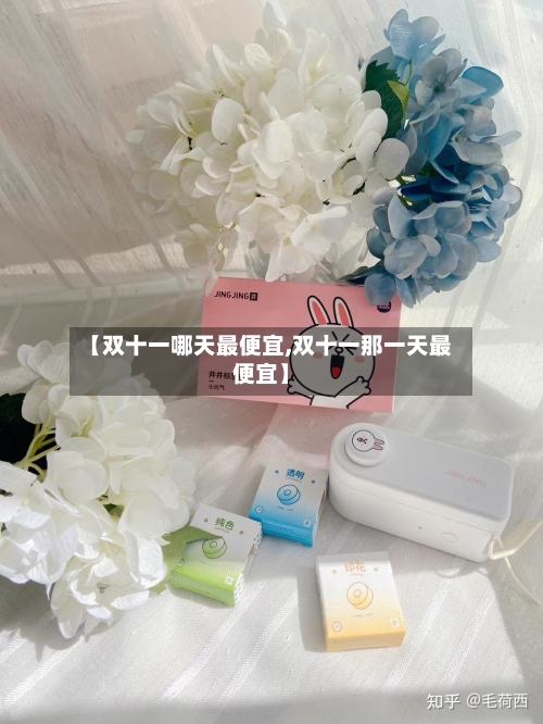 【双十一哪天最便宜,双十一那一天最便宜】