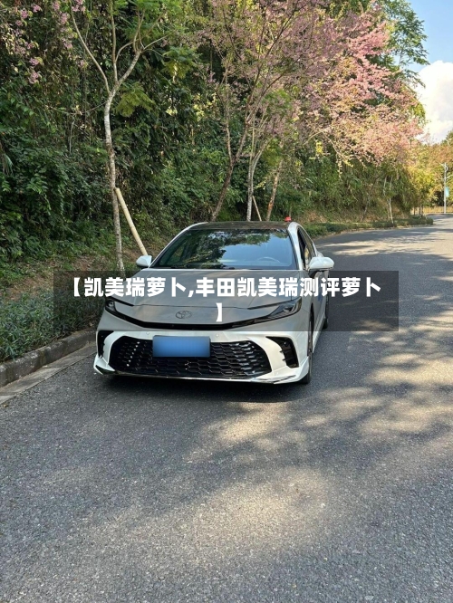 【凯美瑞萝卜,丰田凯美瑞测评萝卜】