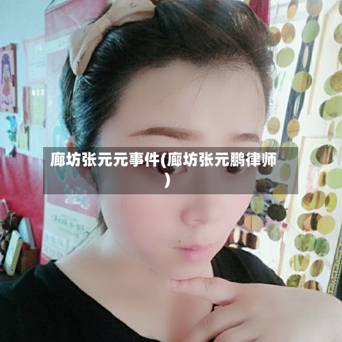 廊坊张元元事件(廊坊张元鹏律师)