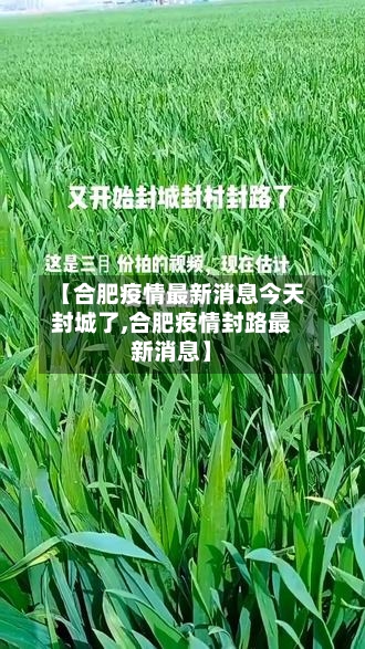 【合肥疫情最新消息今天封城了,合肥疫情封路最新消息】