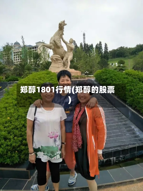 郑醇1801行情(郑醇的股票)