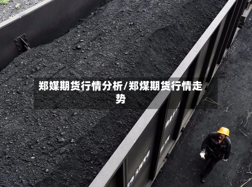 郑媒期货行情分析/郑煤期货行情走势
