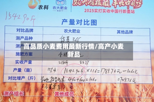 高品质小麦费用最新行情/高产小麦新品