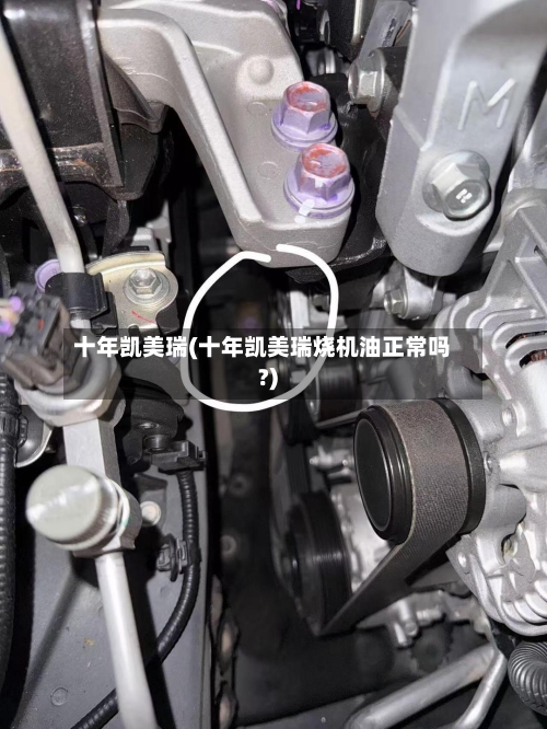 十年凯美瑞(十年凯美瑞烧机油正常吗?)