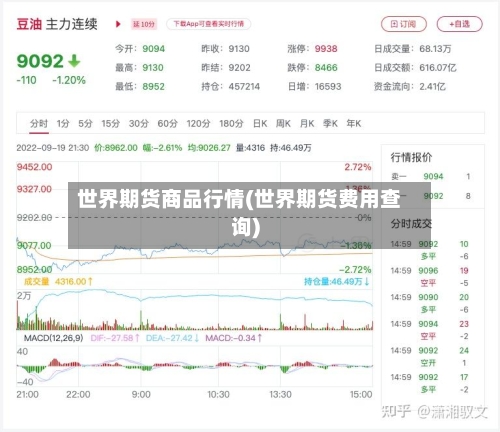 世界期货商品行情(世界期货费用查询)