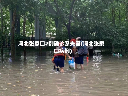 河北张家口2例确诊系夫妻(河北张家口病例)