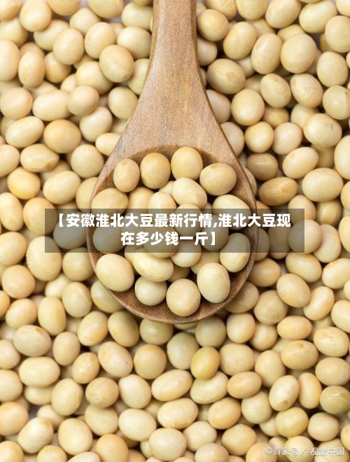 【安徽淮北大豆最新行情,淮北大豆现在多少钱一斤】