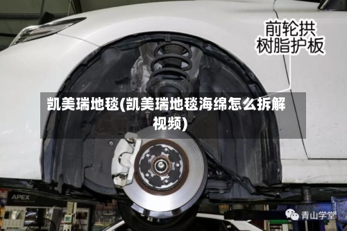 凯美瑞地毯(凯美瑞地毯海绵怎么拆解视频)