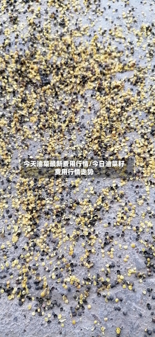 今天油菜最新费用行情/今日油菜籽费用行情走势