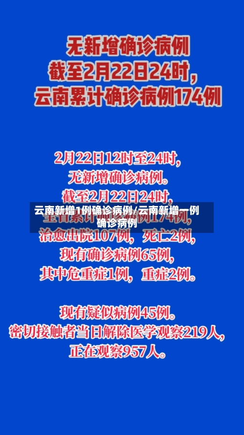 云南新增1例确诊病例/云南新增一例确诊病例