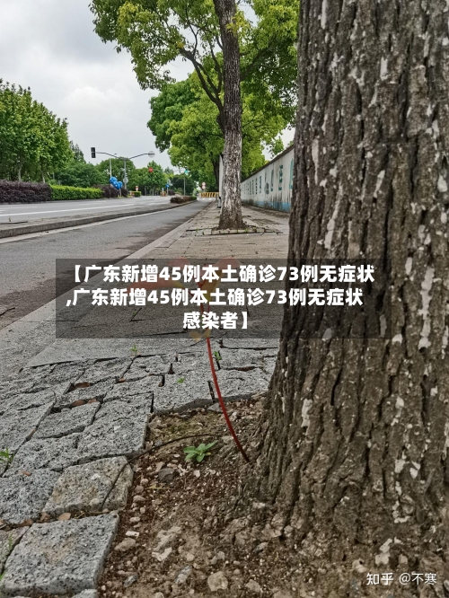 【广东新增45例本土确诊73例无症状,广东新增45例本土确诊73例无症状感染者】