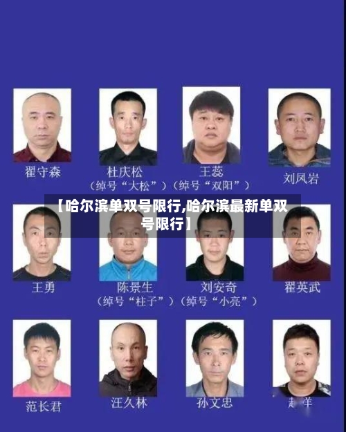 【哈尔滨单双号限行,哈尔滨最新单双号限行】