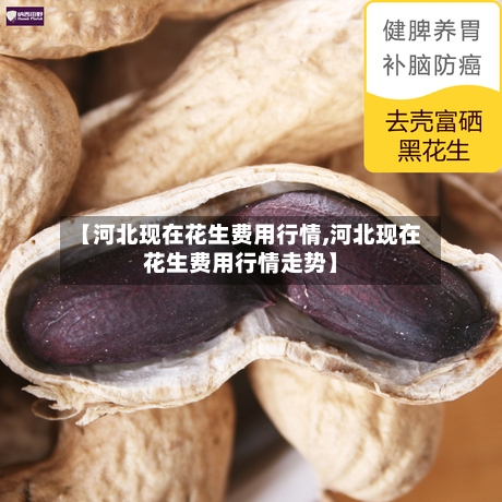 【河北现在花生费用行情,河北现在花生费用行情走势】