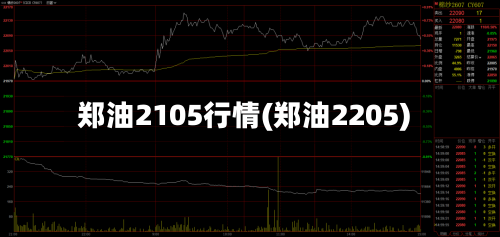 郑油2105行情(郑油2205)