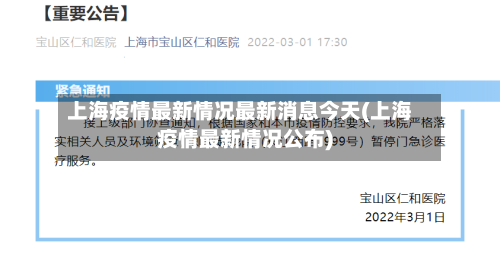 上海疫情最新情况最新消息今天(上海疫情最新情况公布)