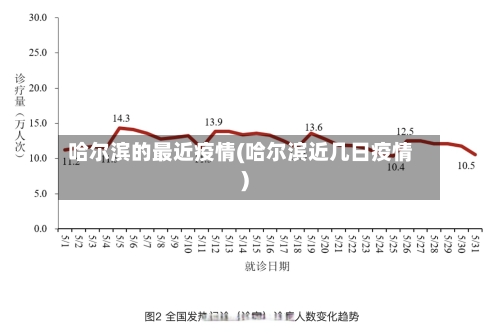 哈尔滨的最近疫情(哈尔滨近几日疫情)