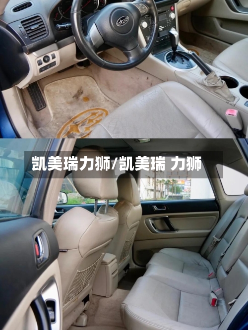 凯美瑞力狮/凯美瑞 力狮