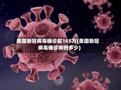 美国新冠病毒确诊超165万(美国新冠病毒确诊病例多少)