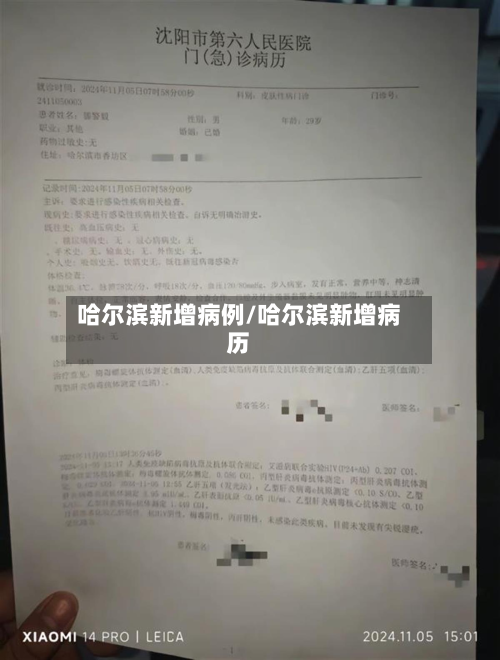 哈尔滨新增病例/哈尔滨新增病历
