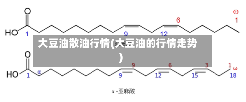大豆油散油行情(大豆油的行情走势)