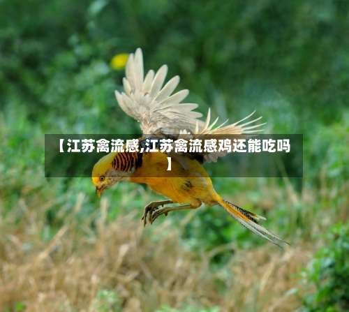【江苏禽流感,江苏禽流感鸡还能吃吗】