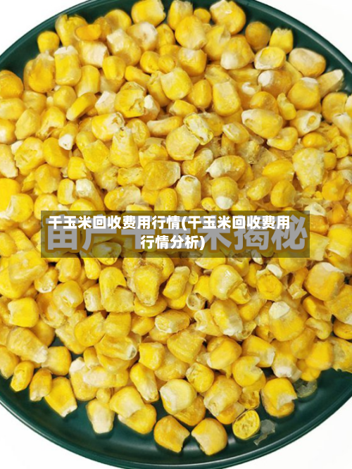 干玉米回收费用行情(干玉米回收费用行情分析)