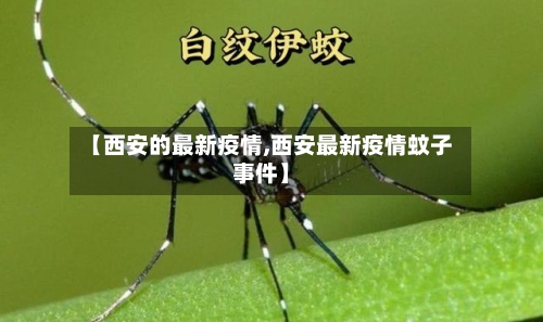 【西安的最新疫情,西安最新疫情蚊子事件】