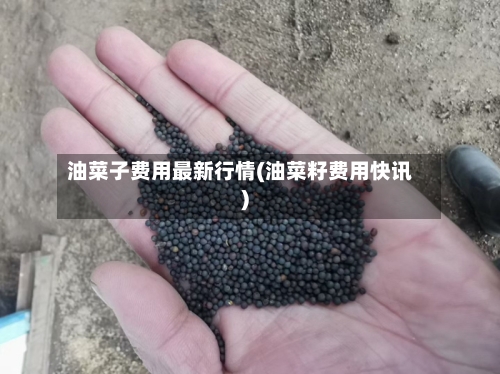 油菜子费用最新行情(油菜籽费用快讯)