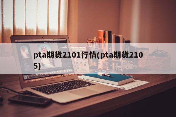 pta期货2101行情(pta期货2105)