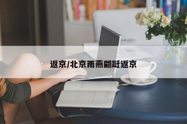 返京/北京雨燕翩跹返京