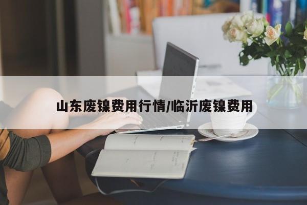 山东废镍费用行情/临沂废镍费用