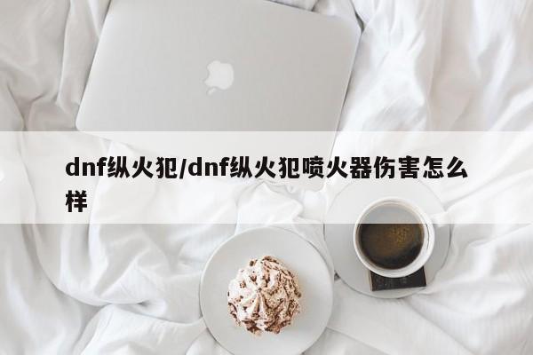 dnf纵火犯/dnf纵火犯喷火器伤害怎么样