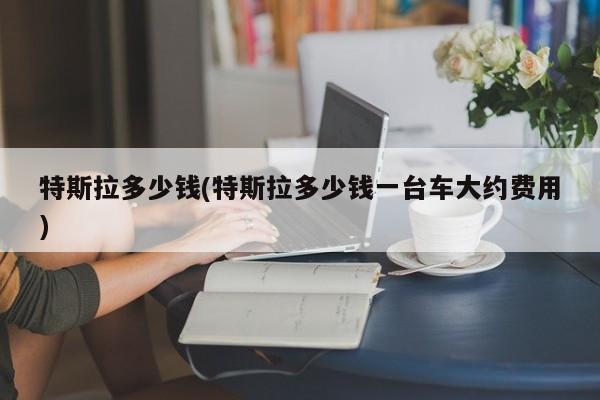 特斯拉多少钱(特斯拉多少钱一台车大约费用)