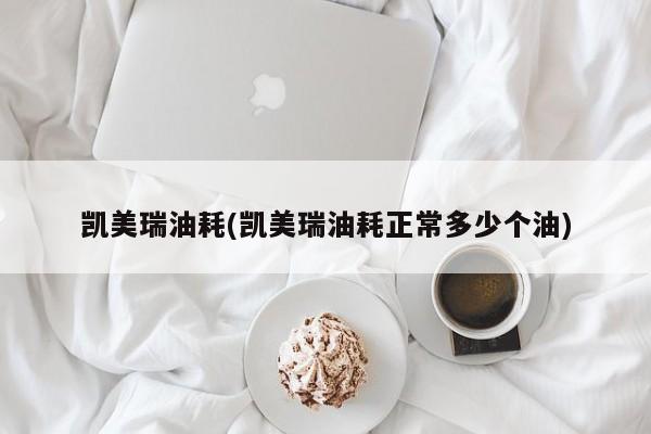 凯美瑞油耗(凯美瑞油耗正常多少个油)